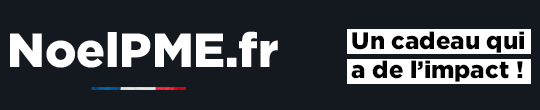 logo-aides-entreprises-fr-covid-19 logo noelpme annuaire des entreprises